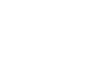 expertise logo white