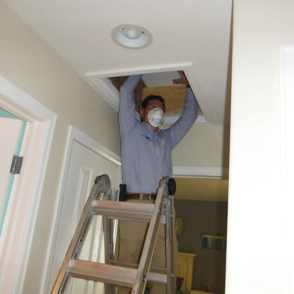 denver home inspector duane younger inspecting a attic during a mold inspection.